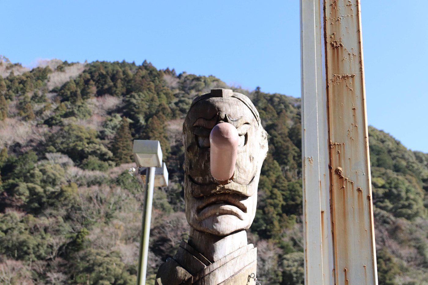 写真1